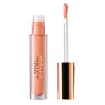 Lip Plumping Gloss - Tickle Your Fancy