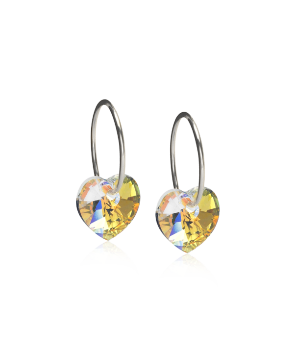 NT-Ear-Ring-Heart-Rainbow